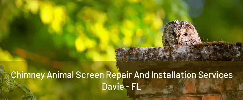 Chimney Animal Screen Repair And Installation Services Davie - FL