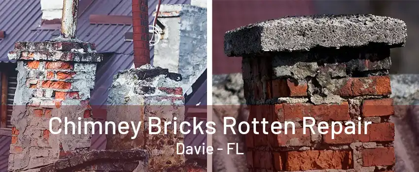 Chimney Bricks Rotten Repair Davie - FL