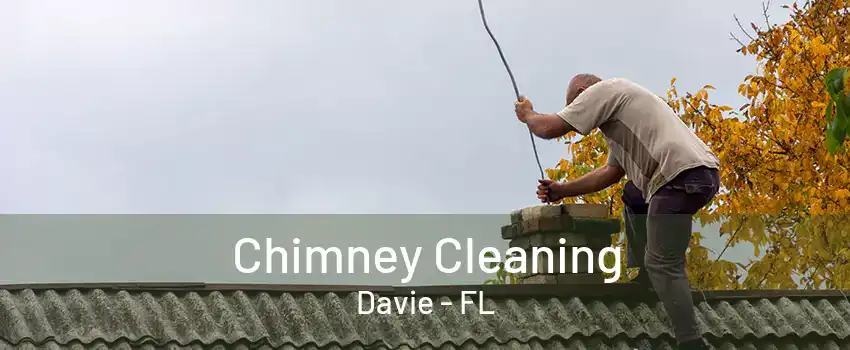 Chimney Cleaning Davie - FL