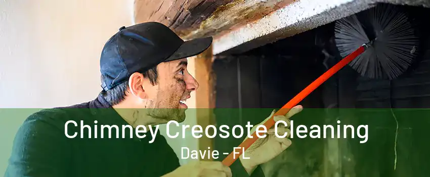 Chimney Creosote Cleaning Davie - FL