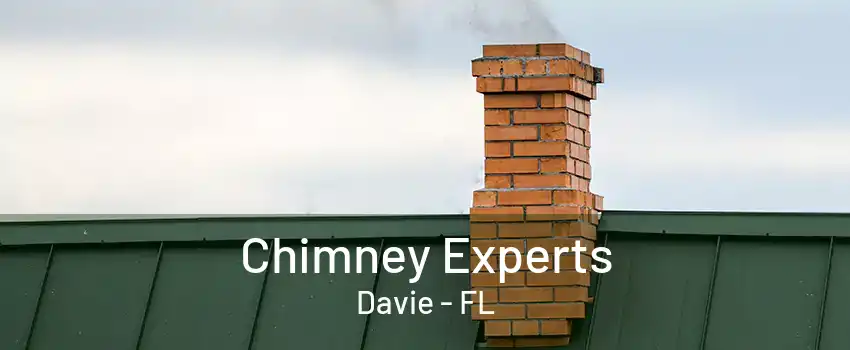 Chimney Experts Davie - FL