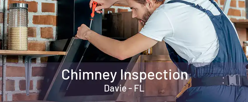 Chimney Inspection Davie - FL