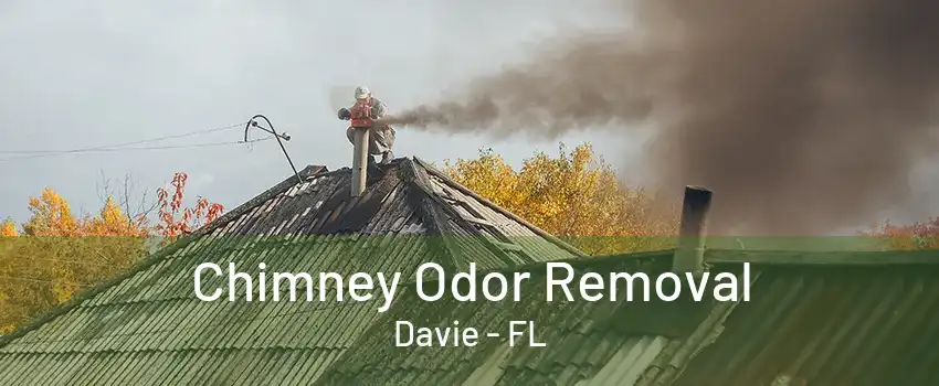 Chimney Odor Removal Davie - FL