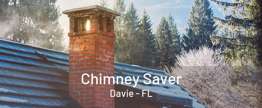 Chimney Saver Davie - FL