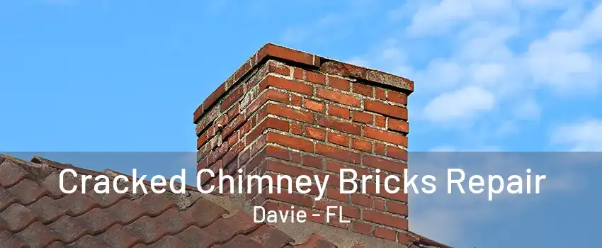 Cracked Chimney Bricks Repair Davie - FL