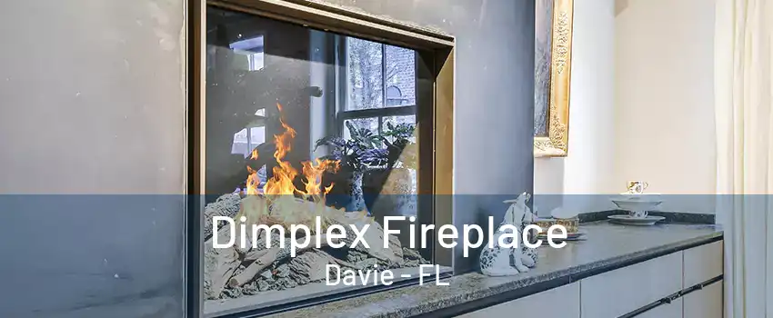 Dimplex Fireplace Davie - FL