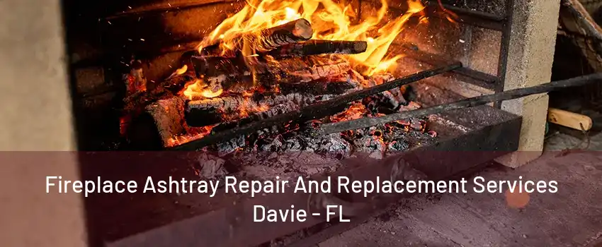 Fireplace Ashtray Repair And Replacement Services Davie - FL