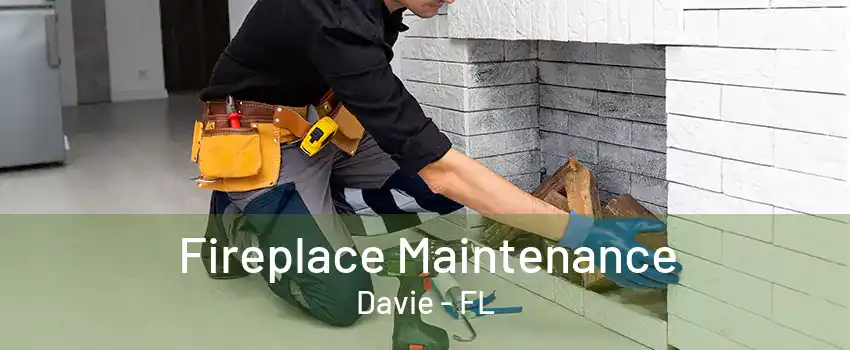 Fireplace Maintenance Davie - FL