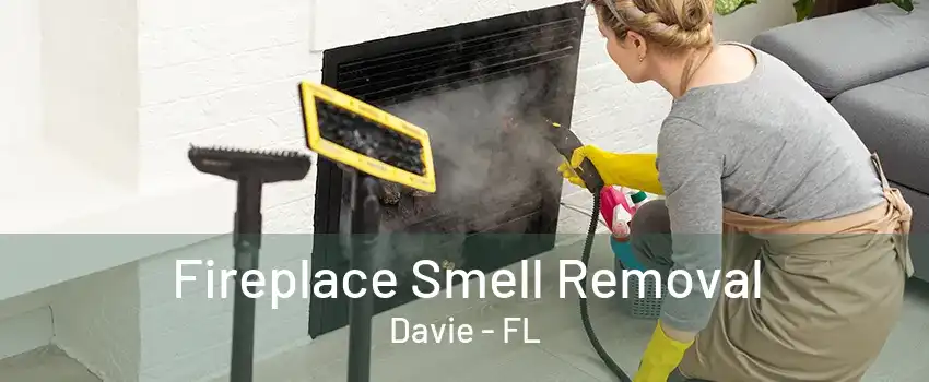 Fireplace Smell Removal Davie - FL