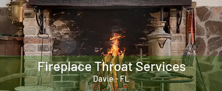 Fireplace Throat Services Davie - FL