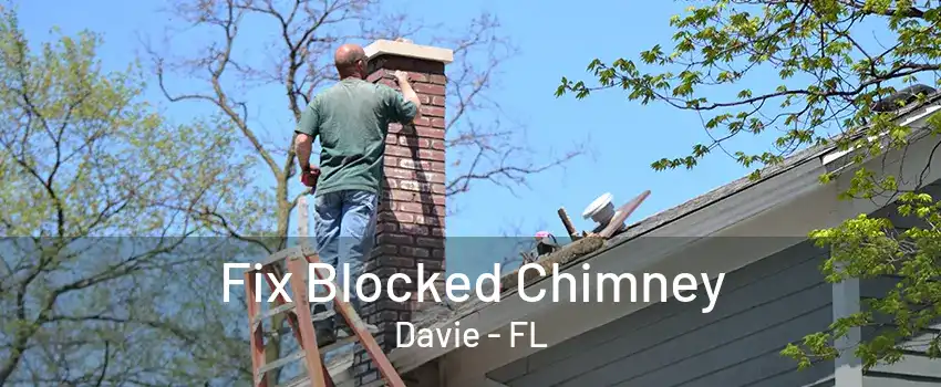 Fix Blocked Chimney Davie - FL