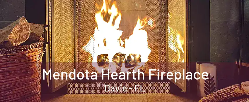 Mendota Hearth Fireplace Davie - FL