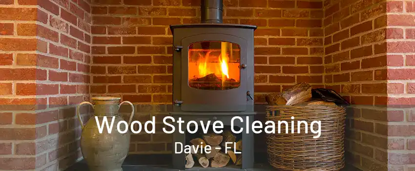 Wood Stove Cleaning Davie - FL